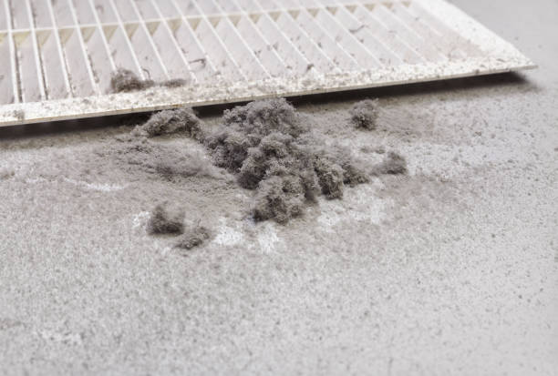 Best Residential Air Duct Cleaning  in Frankenmuth, MI