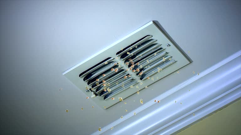 Best Home Air Vent Cleaning  in Frankenmuth, MI