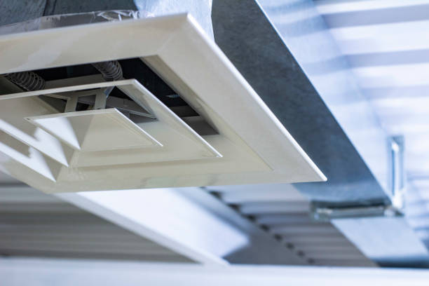 Best Ductwork Cleaning Services  in Frankenmuth, MI