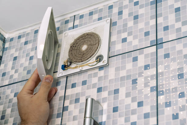Best HVAC System Cleaning  in Frankenmuth, MI
