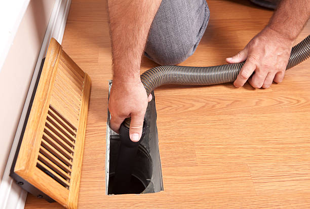 Air Duct Mold Removal in Frankenmuth, MI