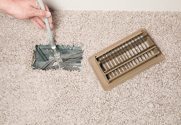 Best Air Duct Mold Removal  in Frankenmuth, MI