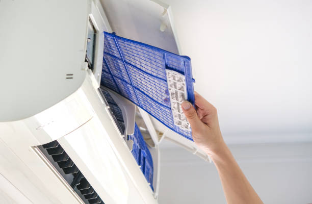 Best General Air Duct Cleaning  in Frankenmuth, MI