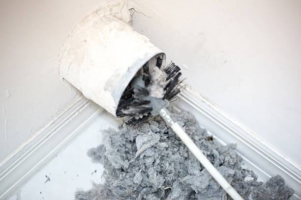 Best Commercial Air Duct Cleaning  in Frankenmuth, MI